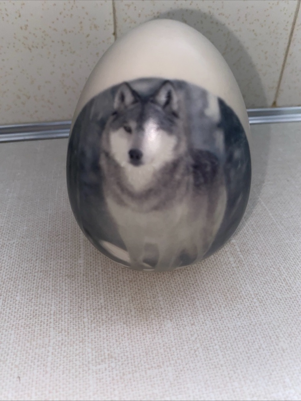 EGGZAKLY PORCELAIN Wolf  Egg Figure Handcrafted USA Made